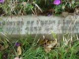image of grave number 613597
